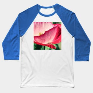 Red Poppy in Sunlight Baseball T-Shirt